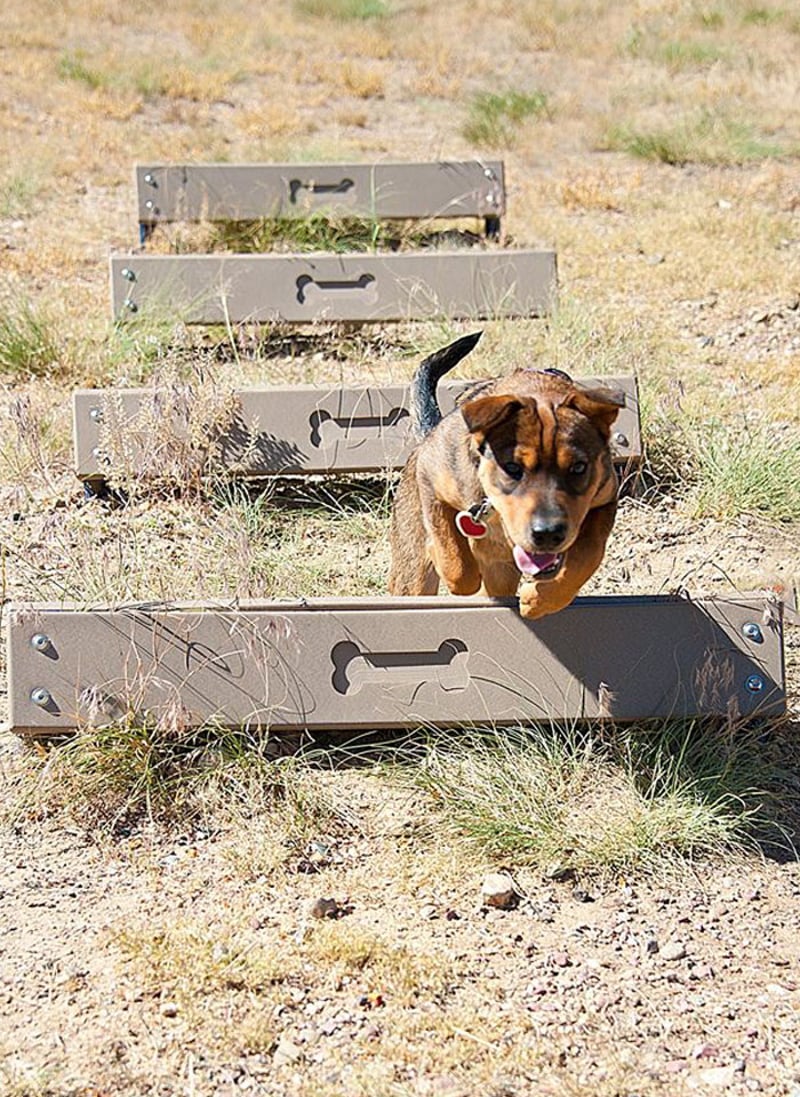 Little Dry Creek Dog Park preview 9